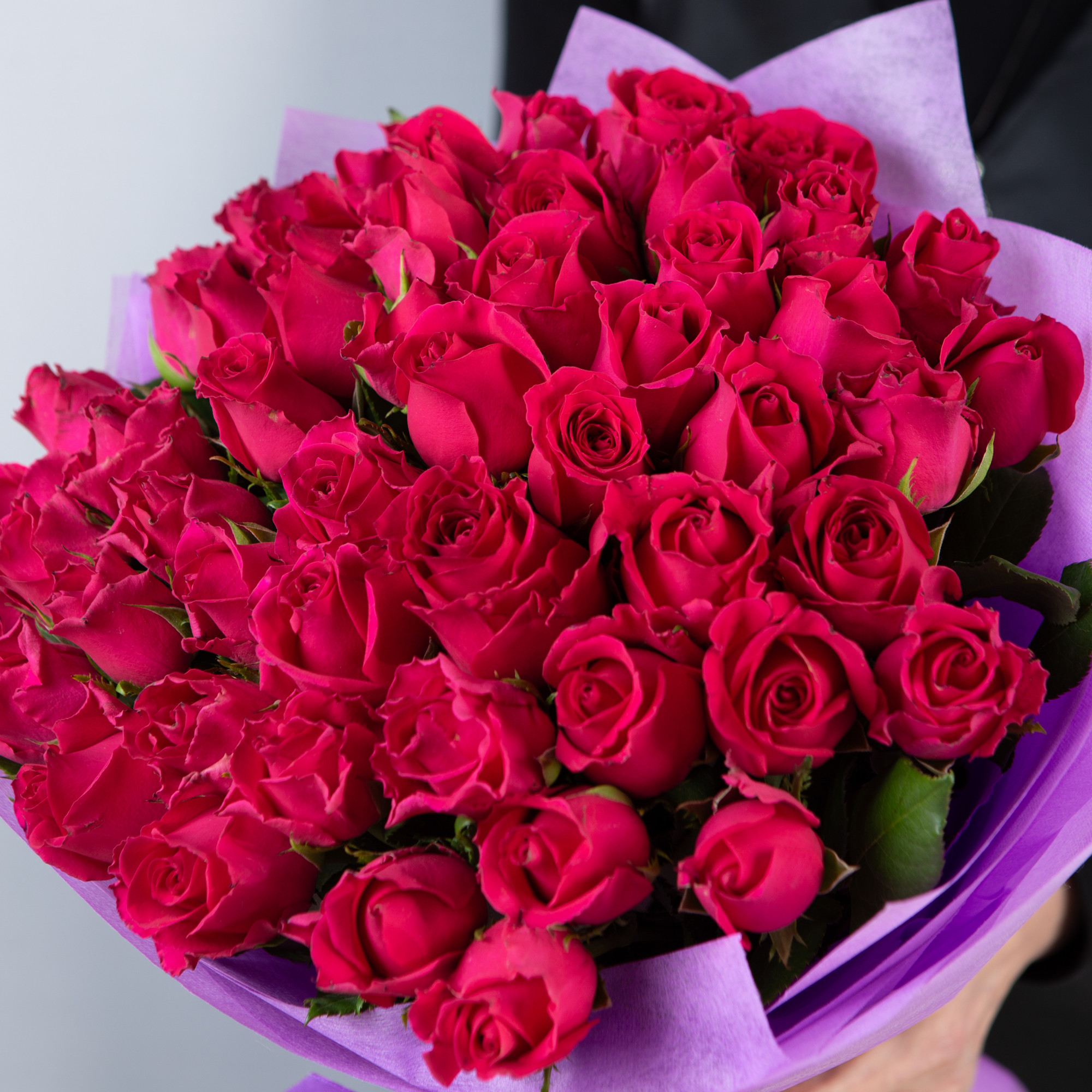Букет 51 малиновая роза Кения  40 см в упаковке