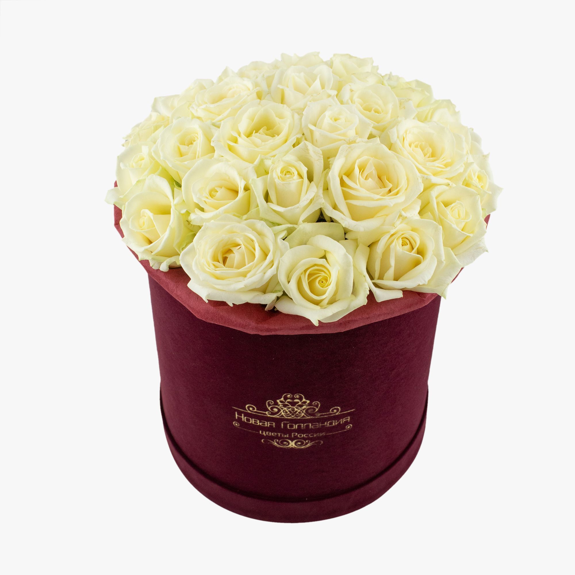 25 белых роз в бархатной коробке LUX