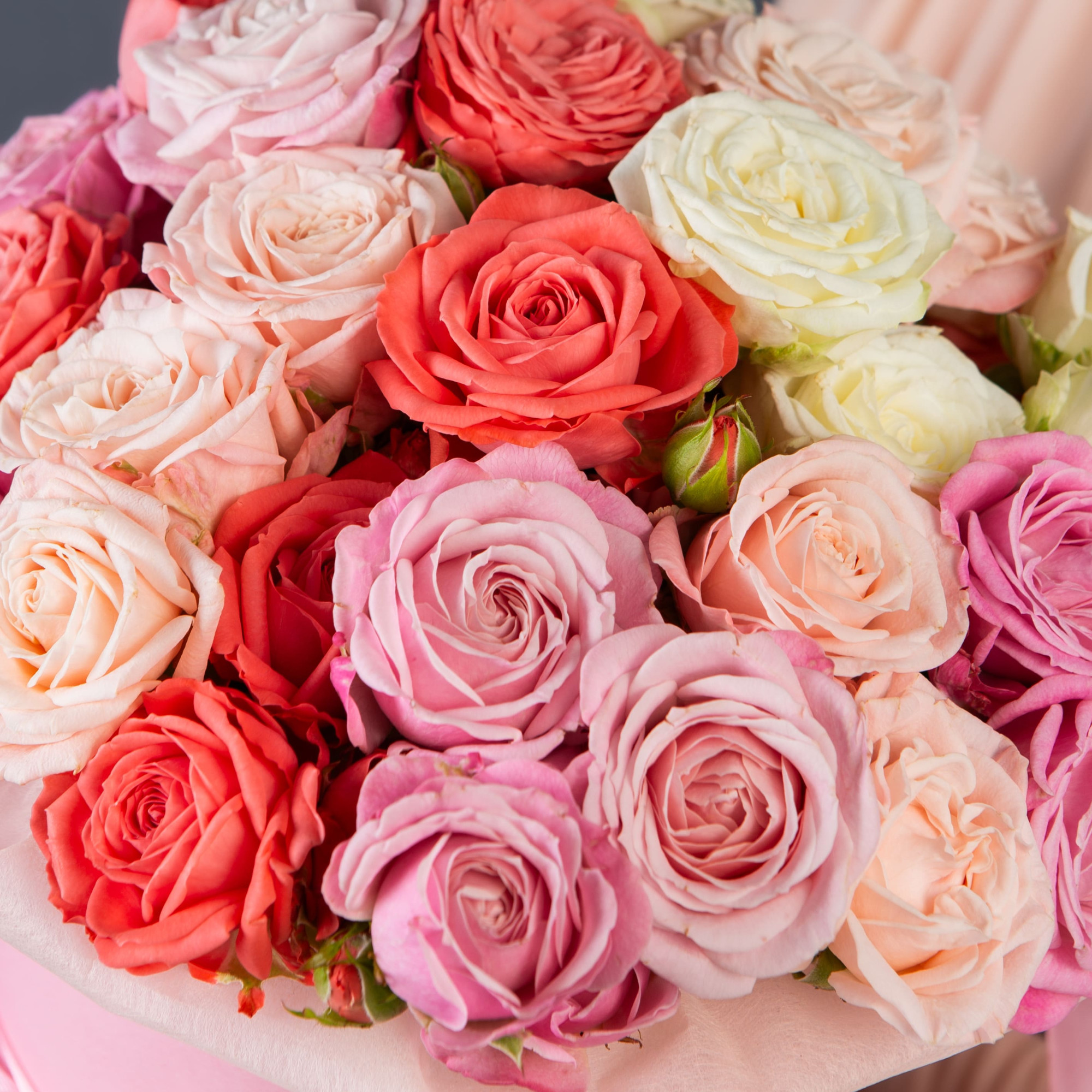 Пионовидные кустовые розы микс в розовой шляпной коробке №741