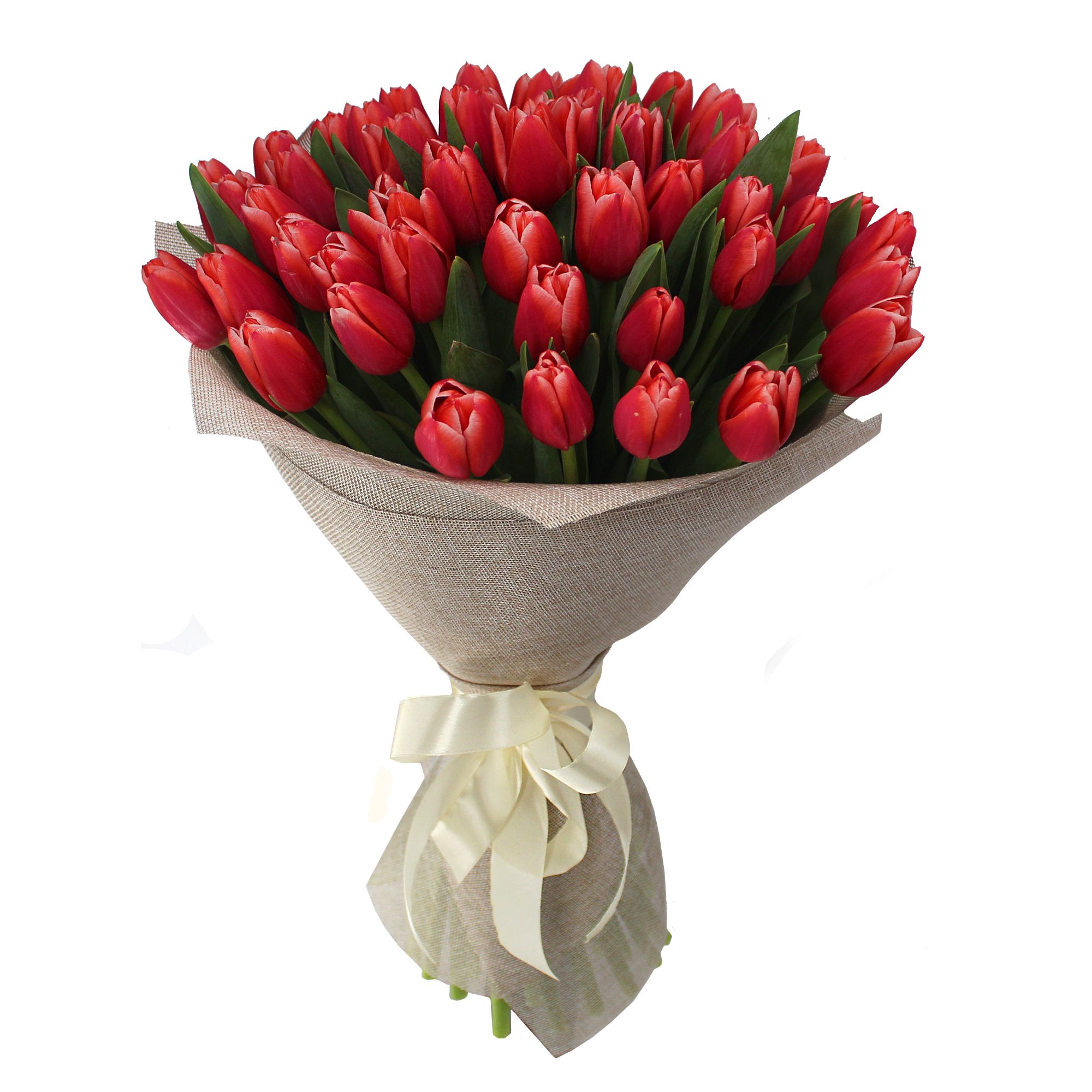 Букет 51 Красный тюльпан