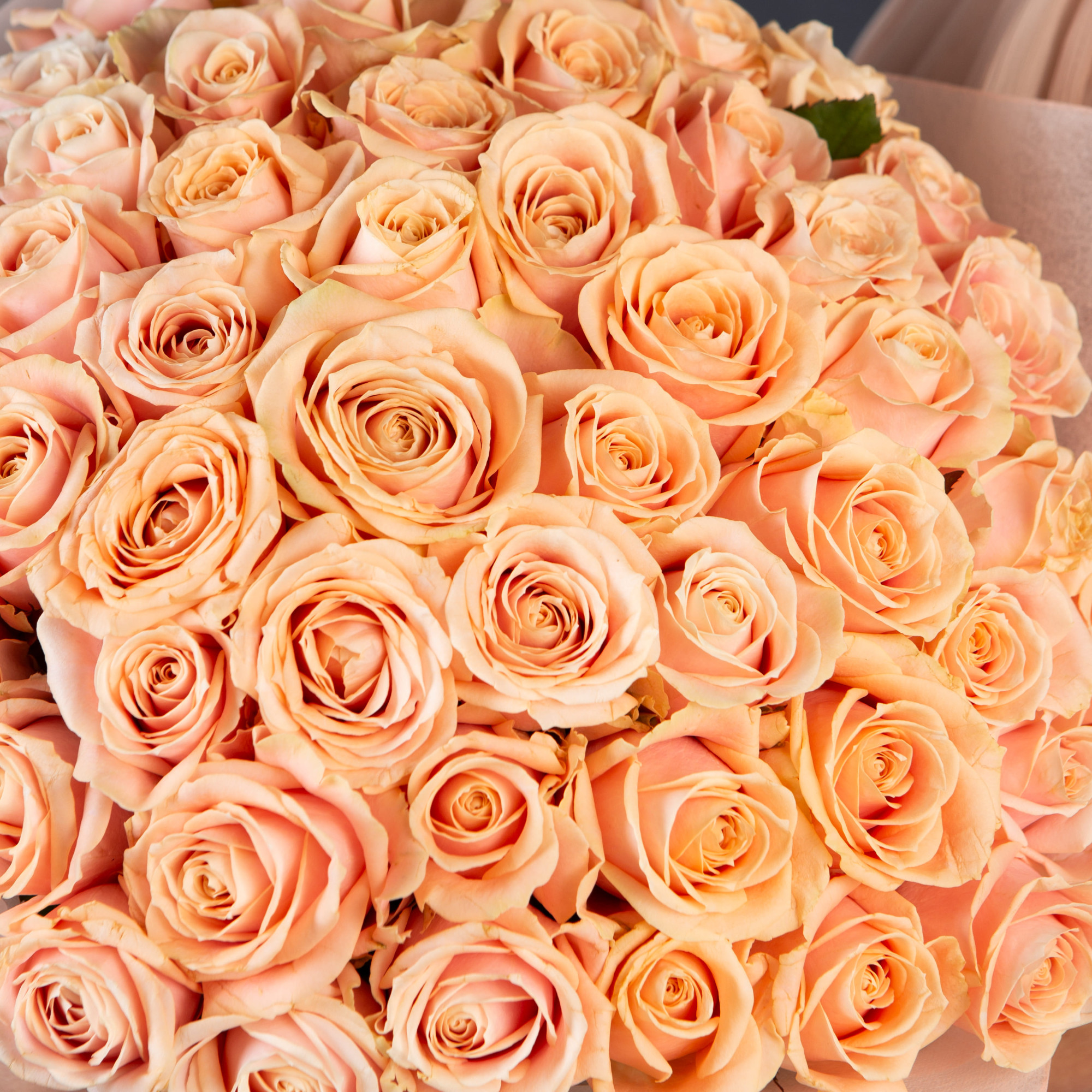 Букет 51 нюдовая роза 40см