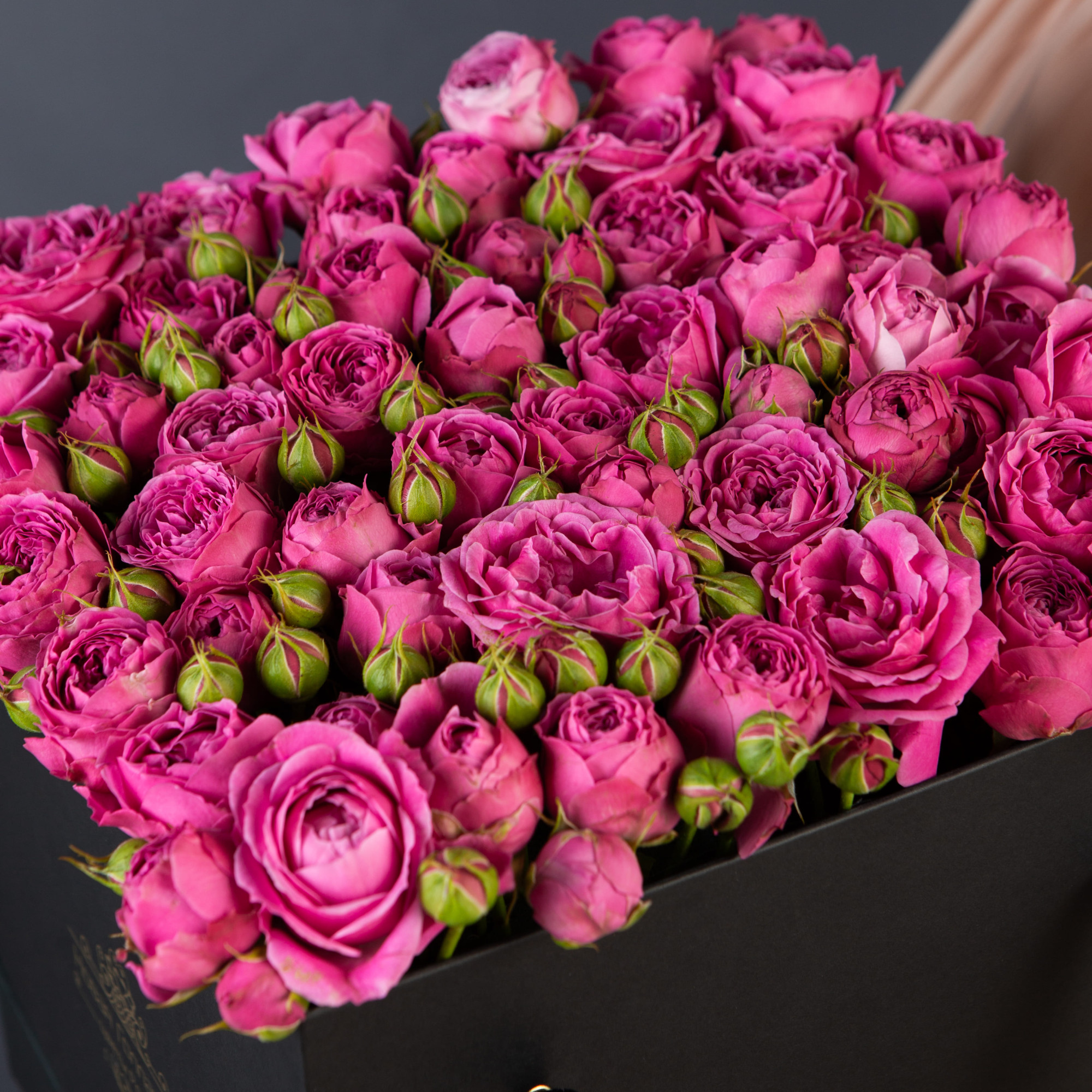 Красная коробка-шкатулка с розовой кустовой пионовидной розой №624