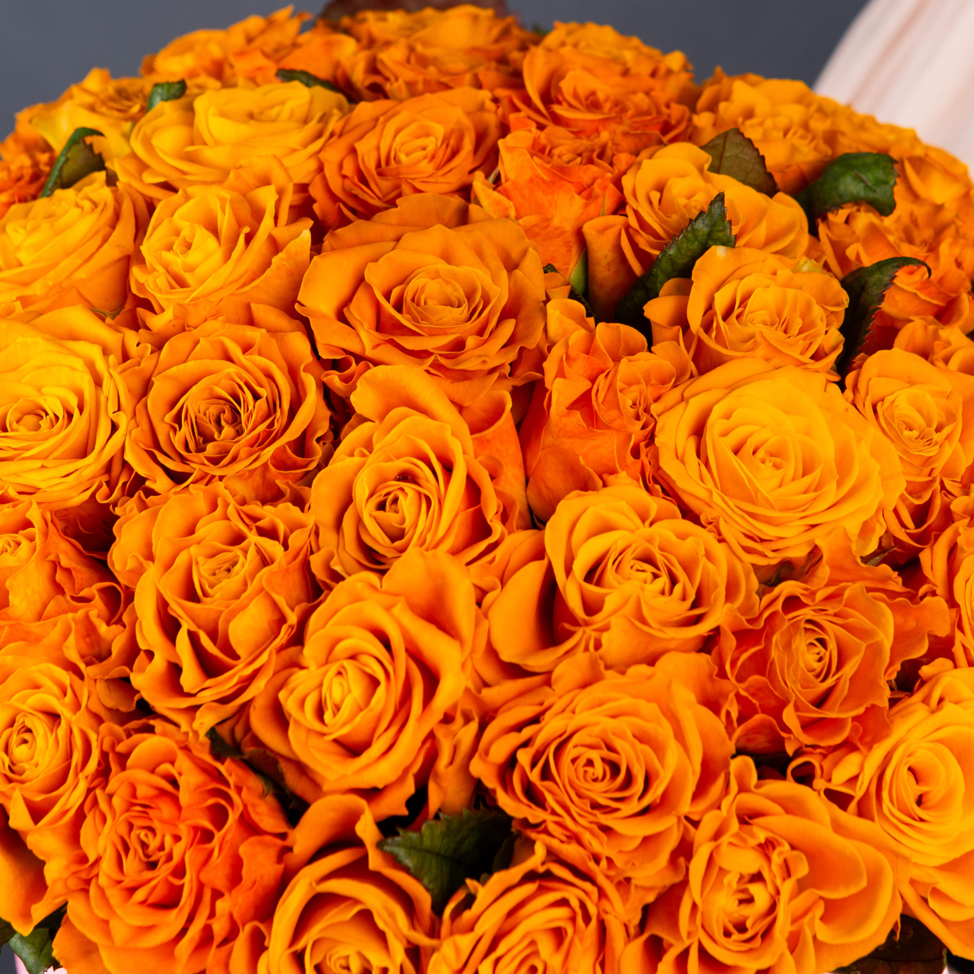 51 оранжевая роза в большой розовой шляпной коробке №597