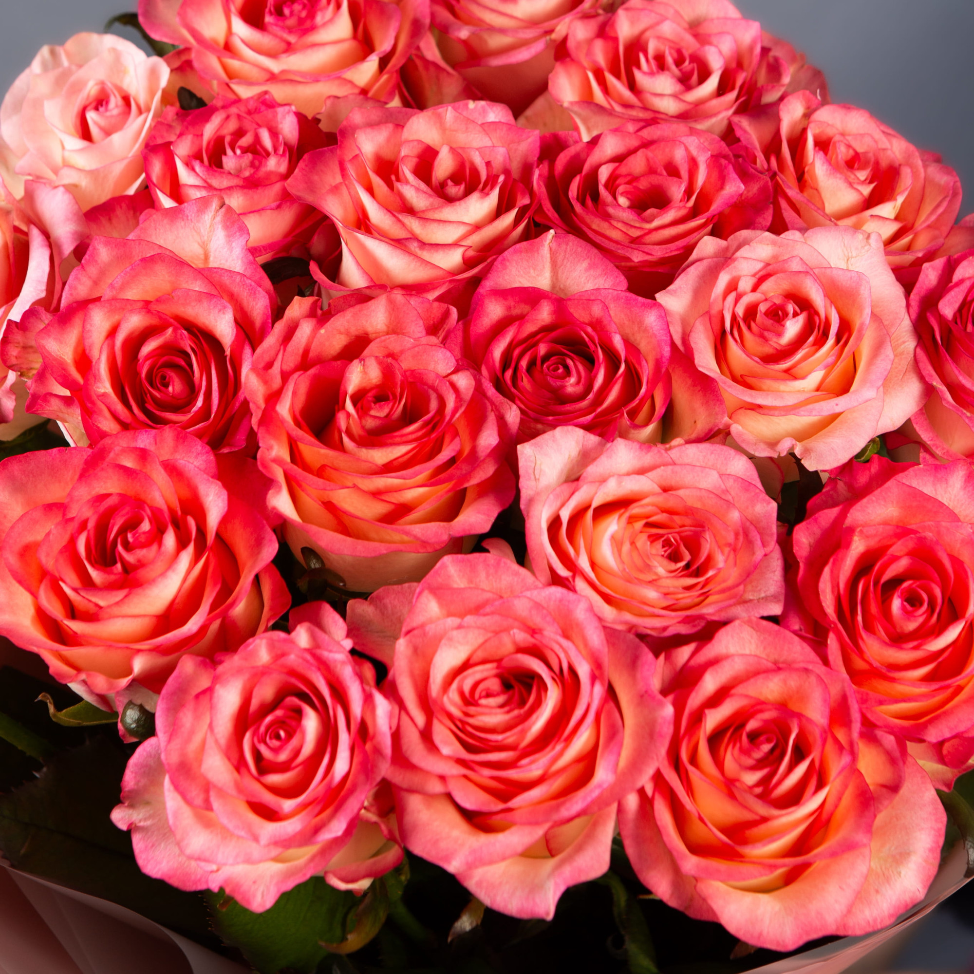 Букет 21 розовая роза 50см