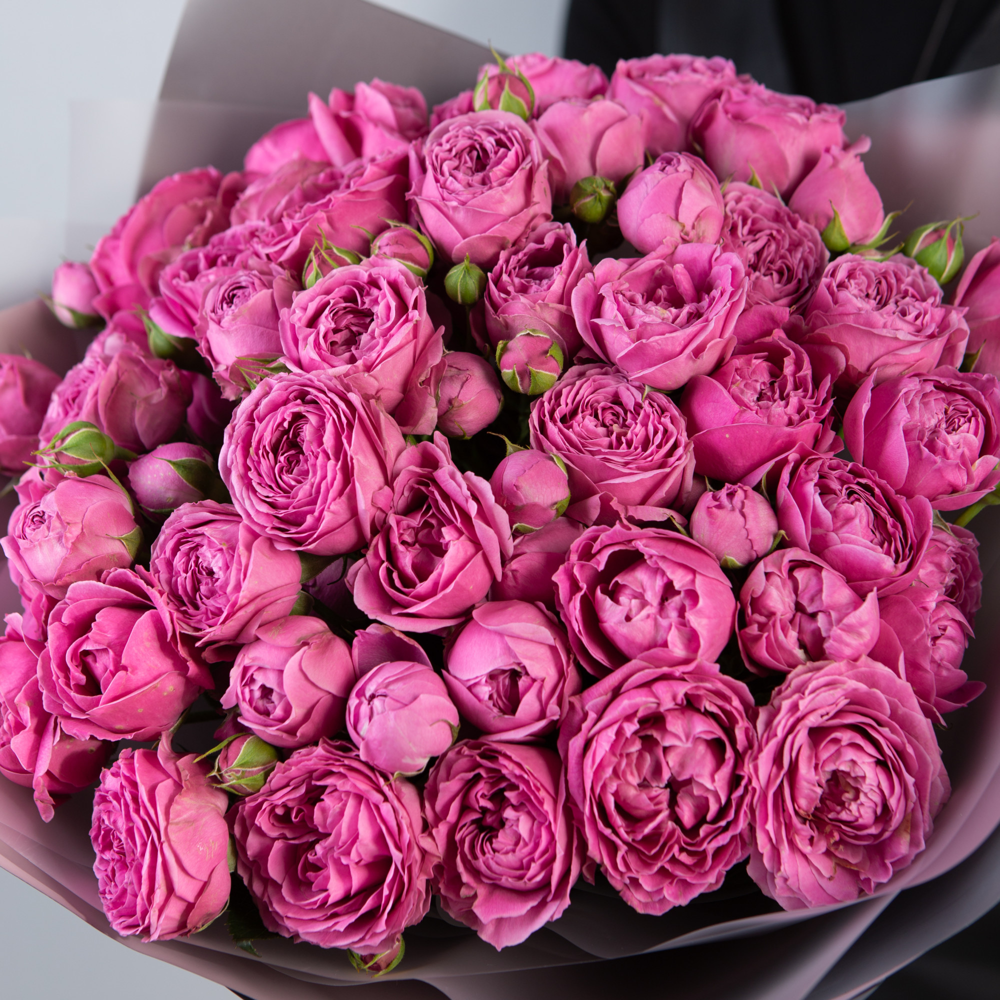 Букет из 17 розовых кустовых пионовидных роз 40 см