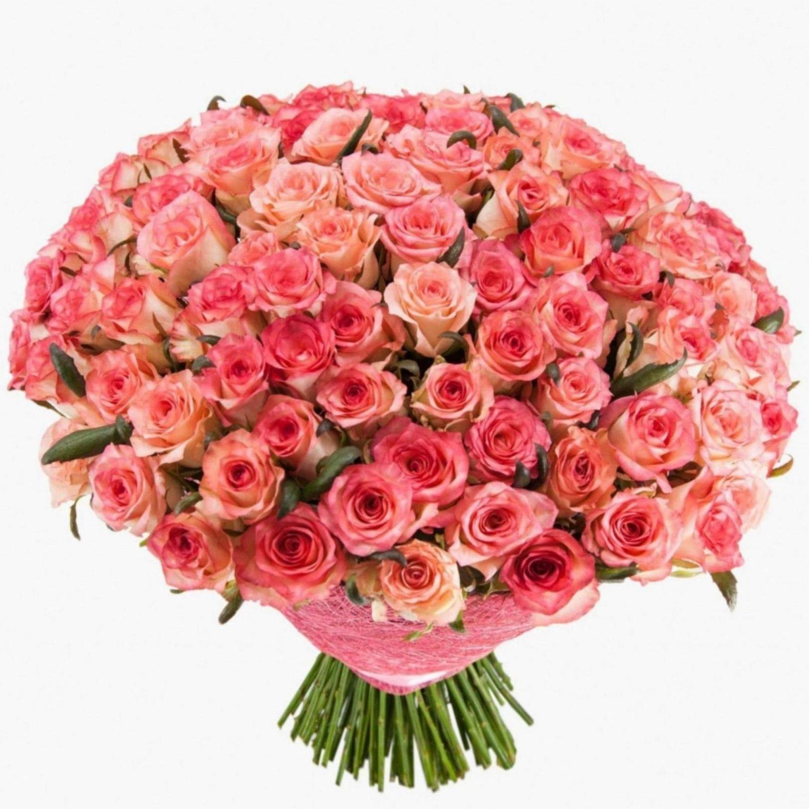 Букет 101 розовая роза 60 см
