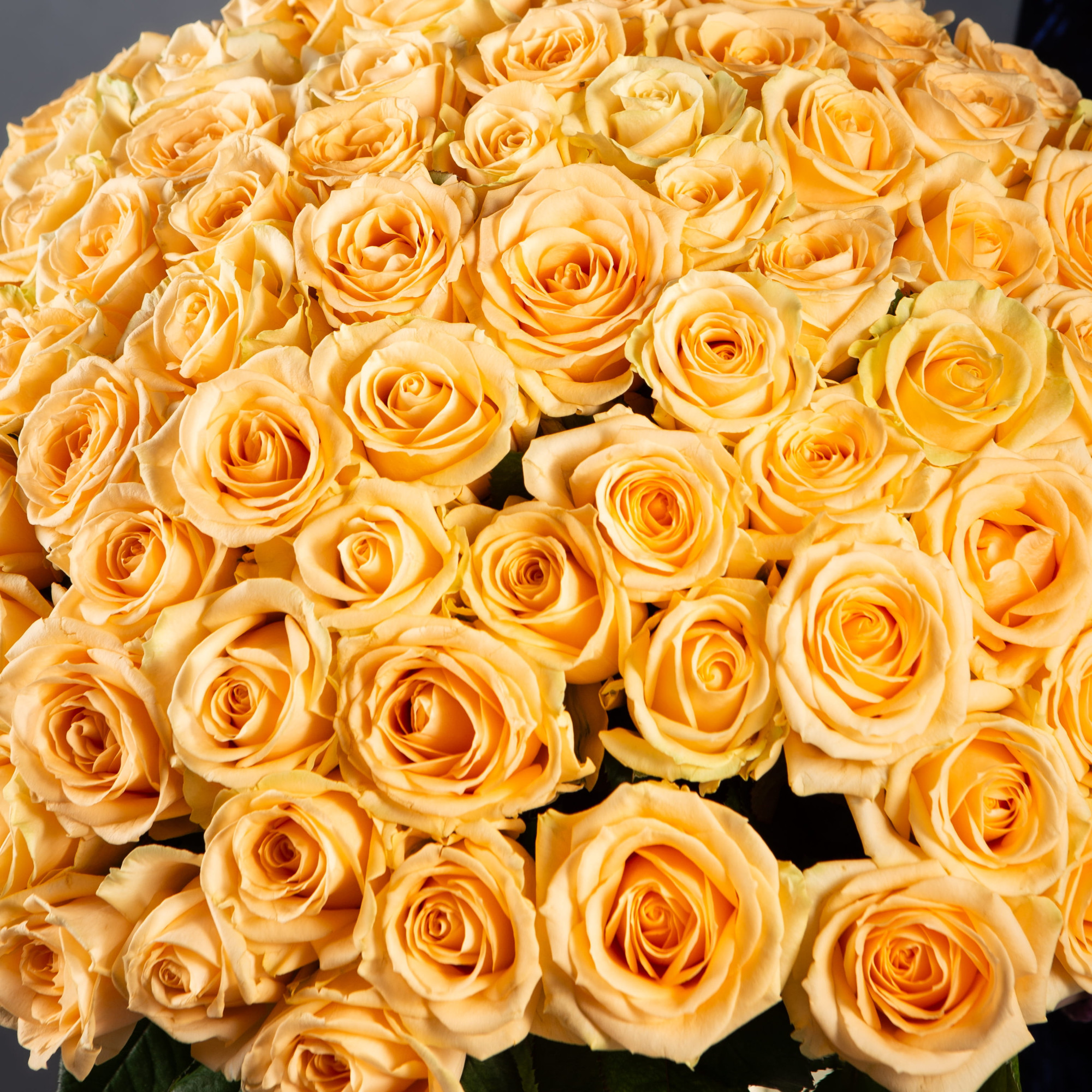 Букет 75 кремовых роз 40 см