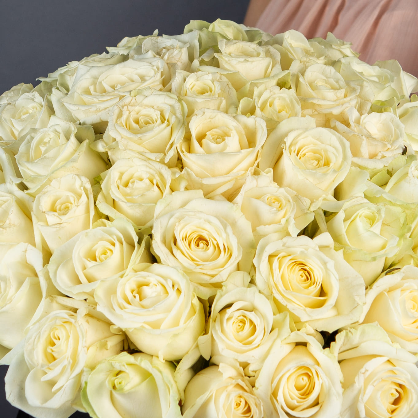 51 Белая роза в большой черной шляпной коробке №214