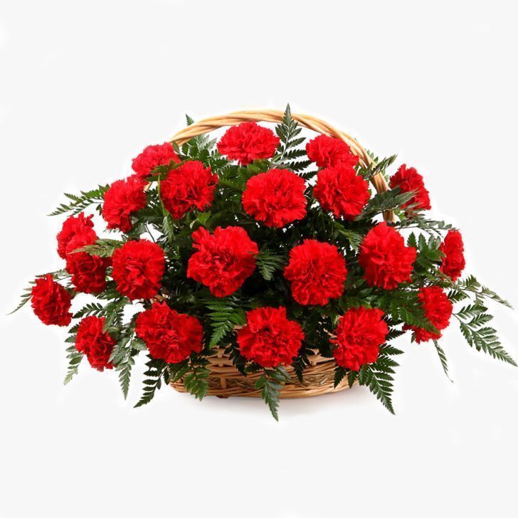 Корзина из 35 гвоздик