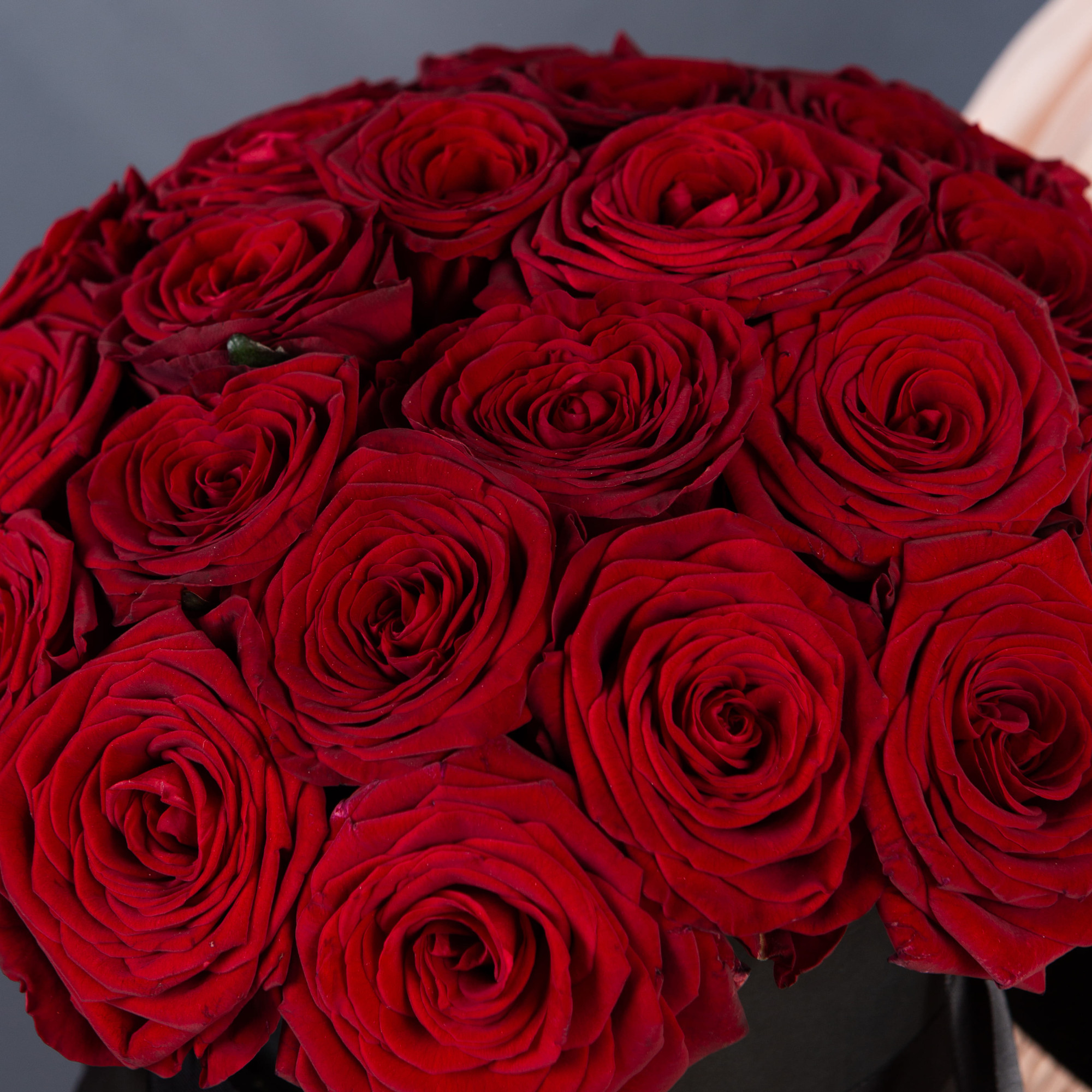 25 красных роз в черной шляпной коробке №49