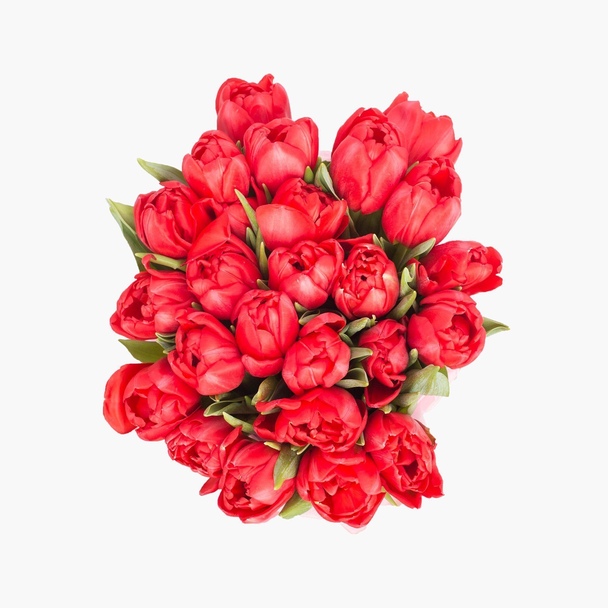 Букет 25 красных Тюльпанов