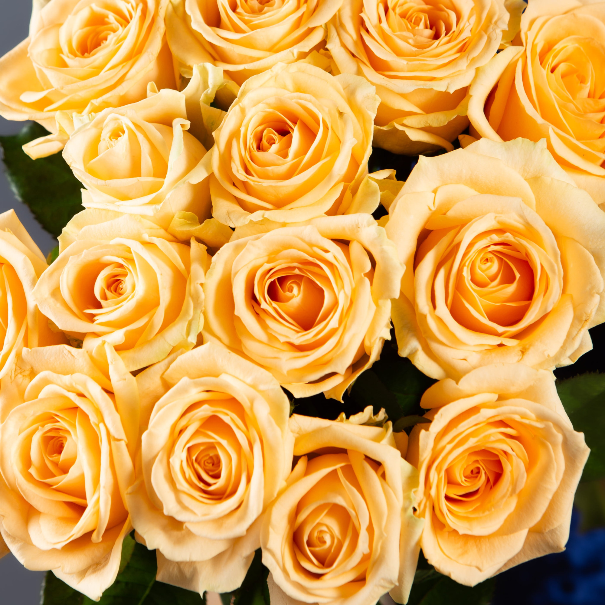 Букет 15 кремовых роз 40 см