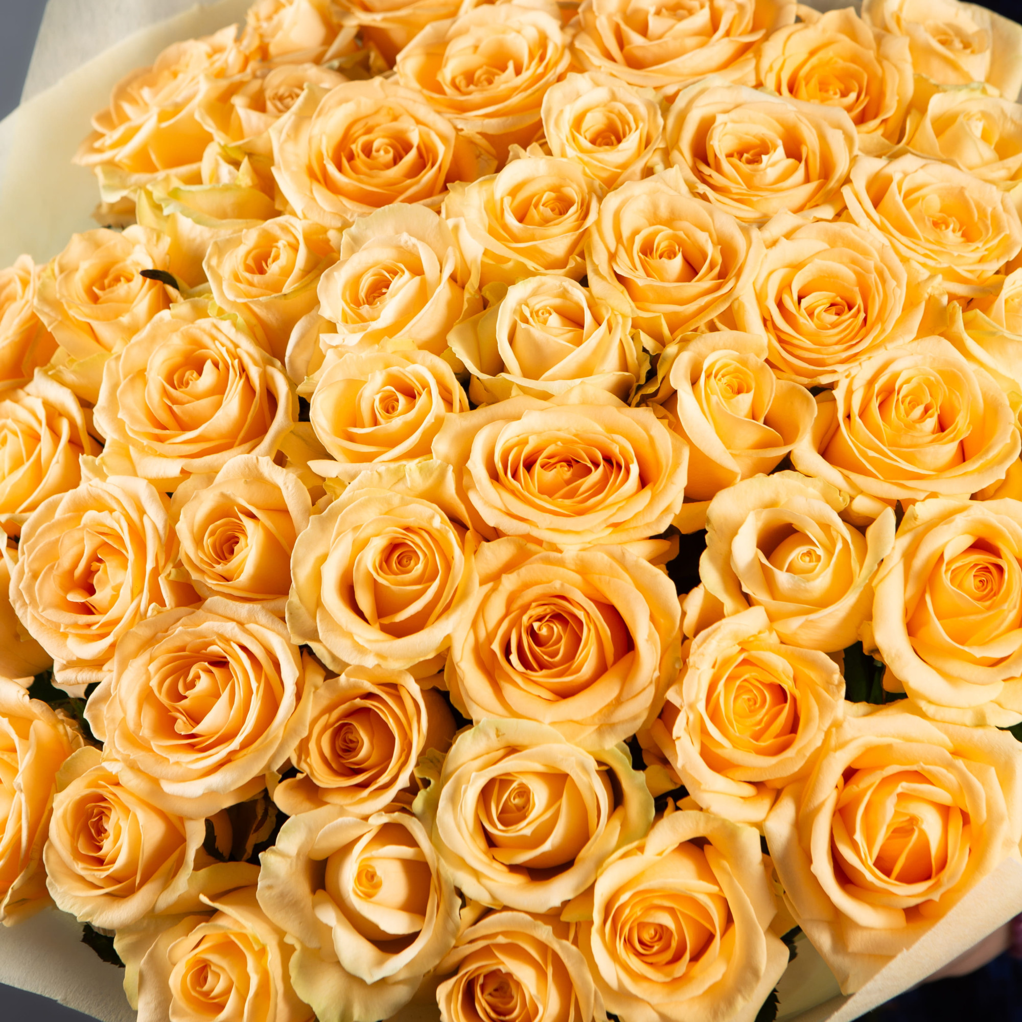 Букет 51 роза Шампань 60см