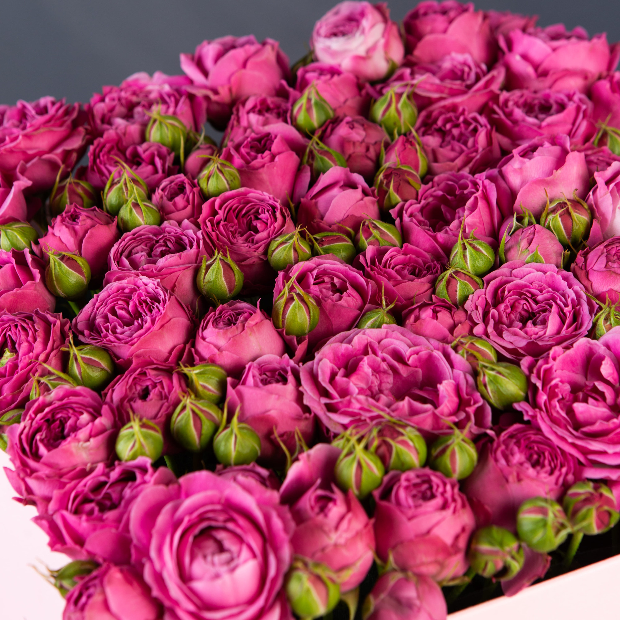 Розовая коробка-шкатулка с розовой кустовой пионовидной розой №626