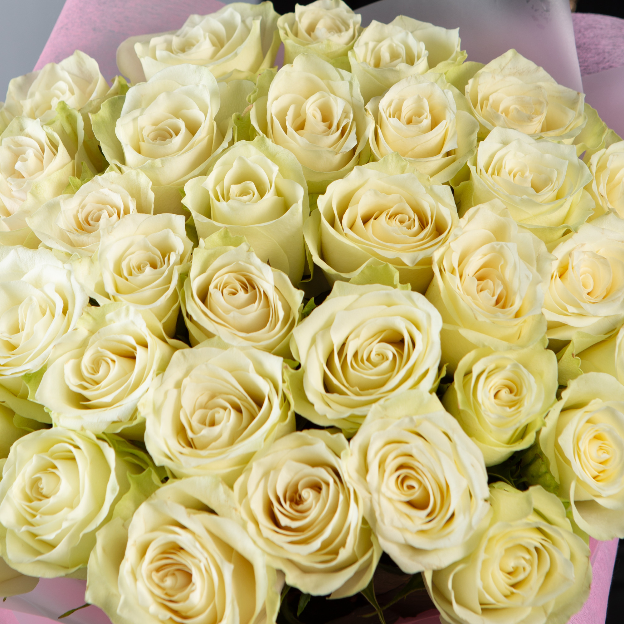 Букет 35 белых роз Кения  40 см в  упаковке