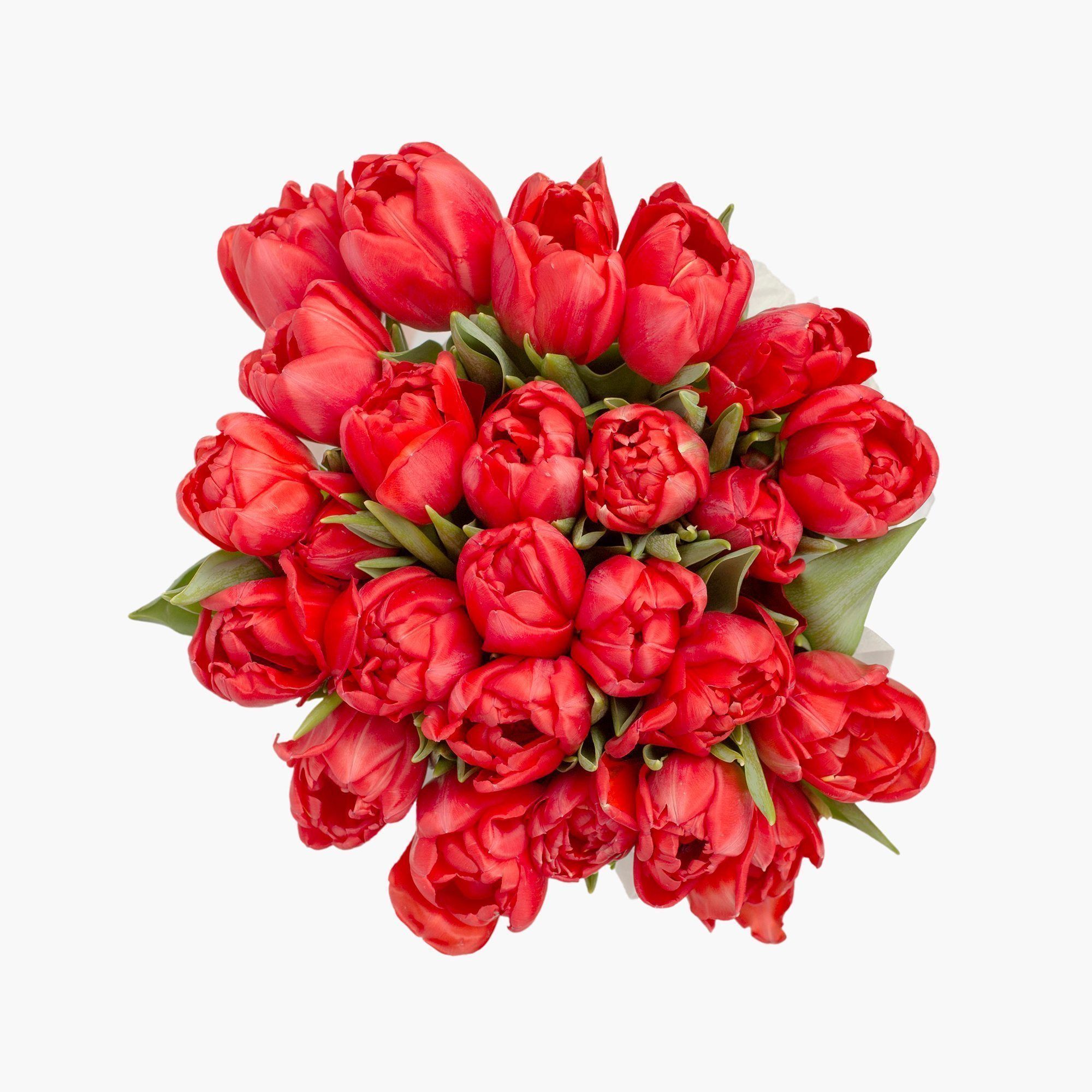 25 красных тюльпанов в белой маленькой шляпной коробке №525