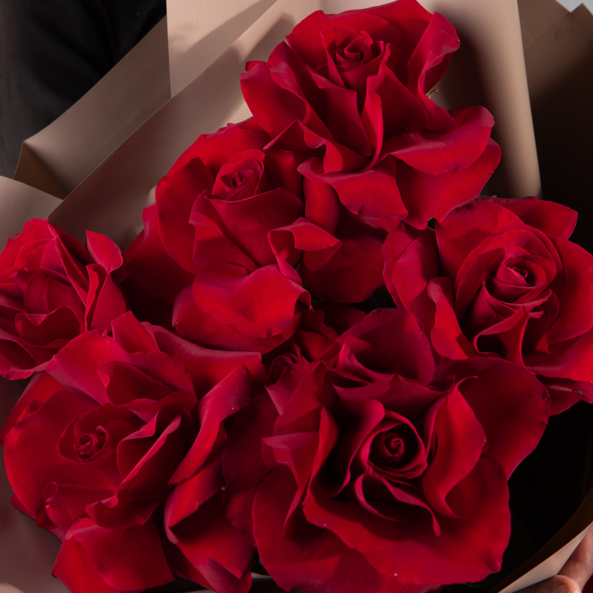 Букет 7 красных французских роз Пантера