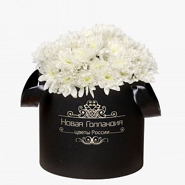 15 Белых хризантем в большой черной коробке №259