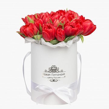 25 красных тюльпанов в белой маленькой шляпной коробке №525