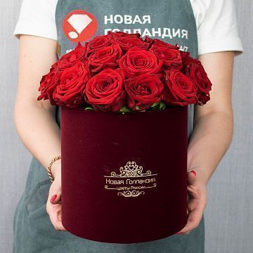 25 красных роз в бархатной коробке LUX