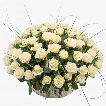 151 белая роза в большой корзине