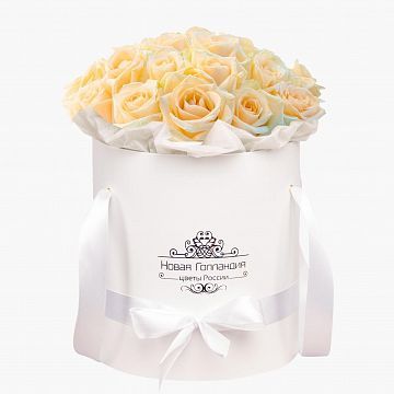 25 кремовых роз в белой шляпной коробке №232