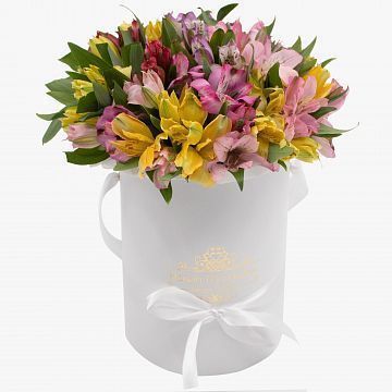 15 альстромерий в белой маленькой коробке